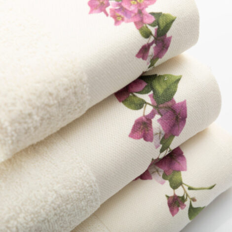 petsetes-set-3tmx-bougainvillea-ekrou-leptomereia