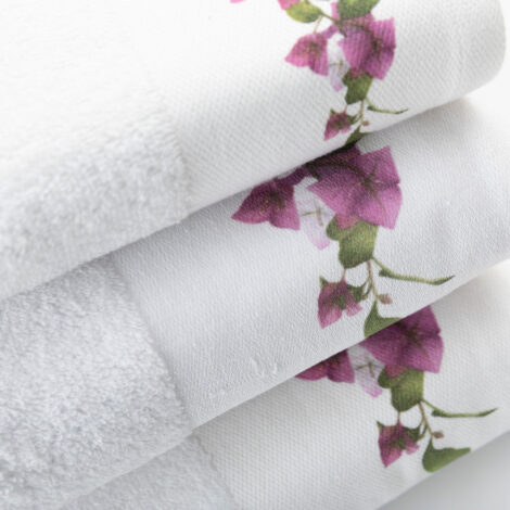 petsetes-set-3tmx-bougainvillea-leuko-leptomereia