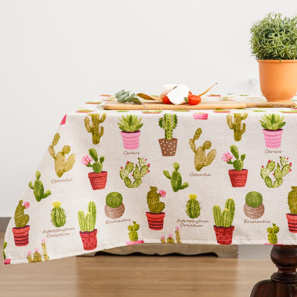 trapezomanthlo-140x180-cacti